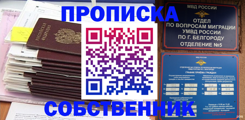 прописка законно в Новгородской области